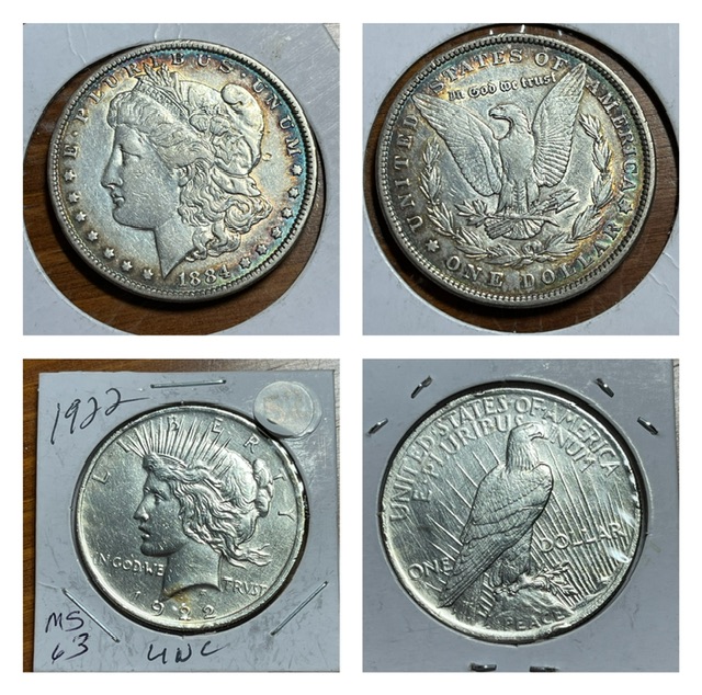 Made-My-First-Big-Lot-Purchase-Of-Morgan's