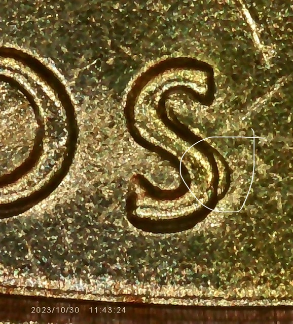 2020-P-Salt-Bay-Quarter-What-Error-Is-This