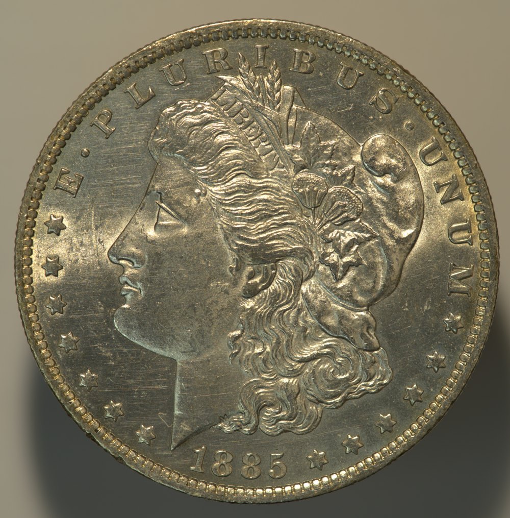 1885-O-Morgan-For-Grading-Opinion