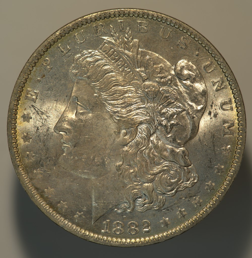 1882-O-Morgan-Opinions-Please.