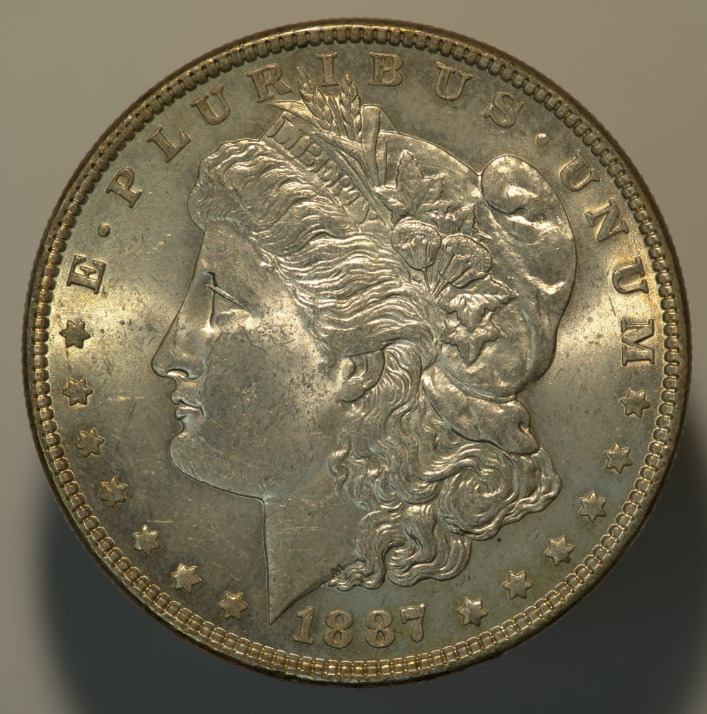 1887-Morgan-Opinions-Please.