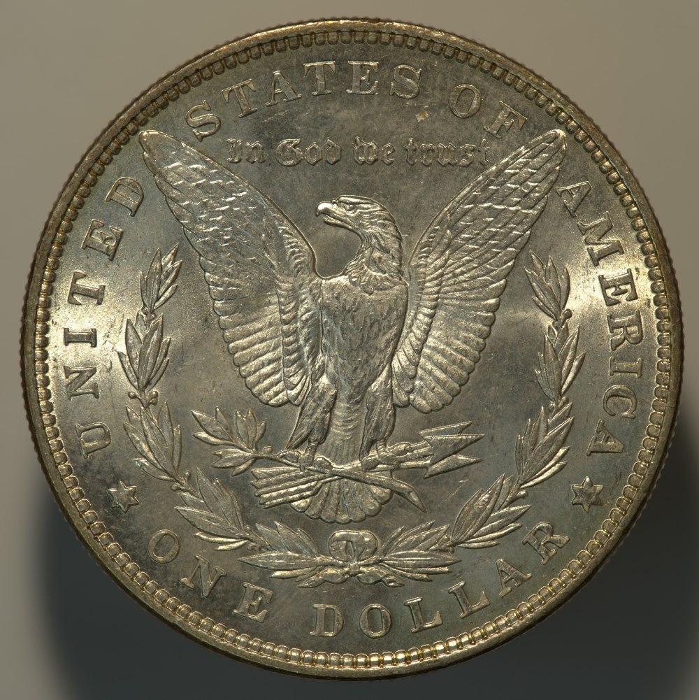 1887-Morgan-Opinions-Please.