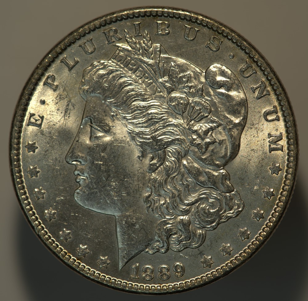 1889-Morgan-Opinions-Please.