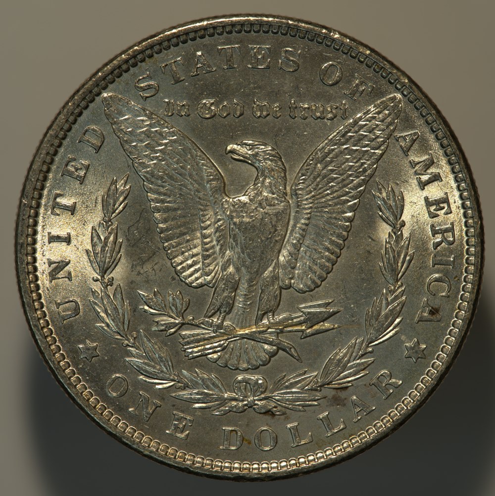 1889-Morgan-Opinions-Please.