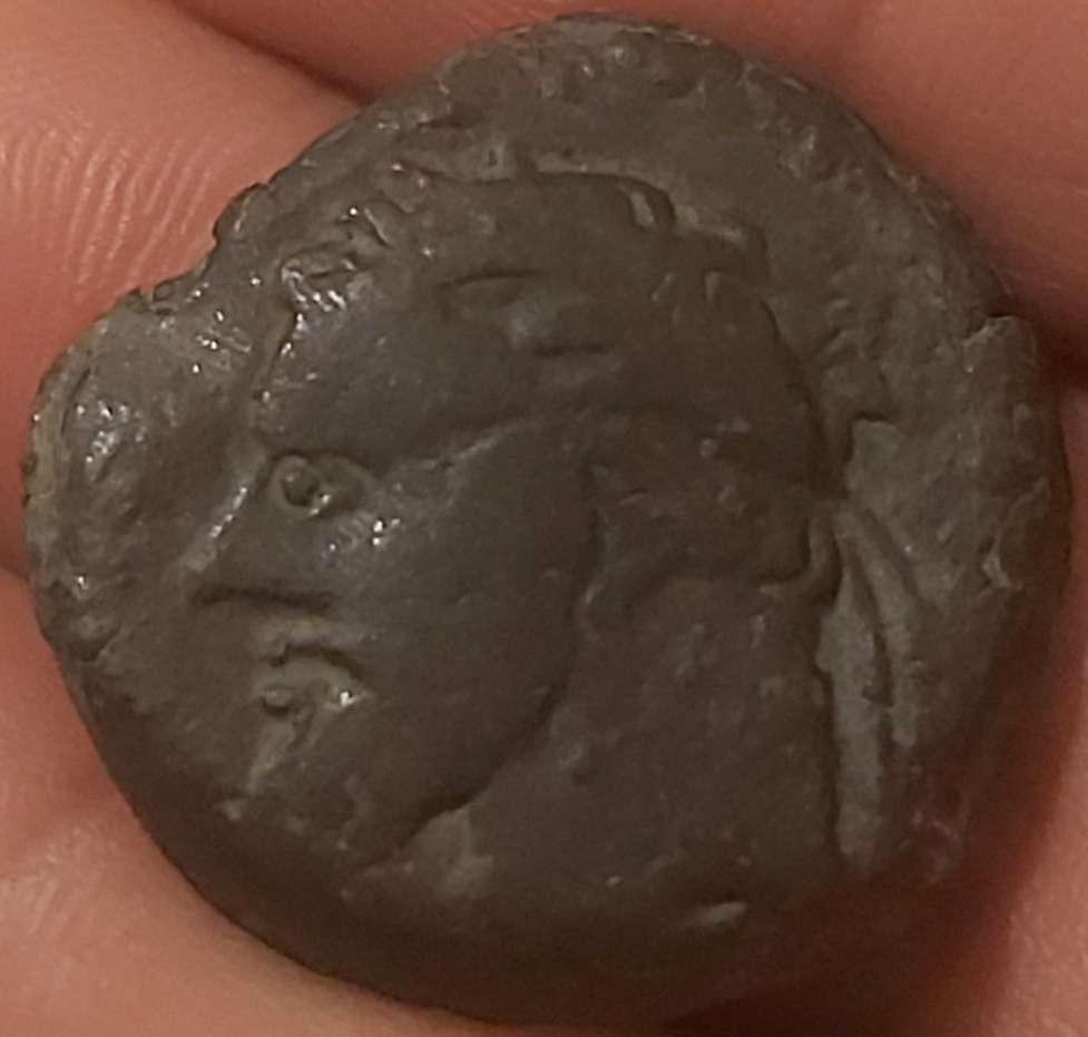 Help-Identify-Ancient-Coin-Kingdom-Of-Numidia-Roman-'Client'-State-Micipsa-148-118-Bc