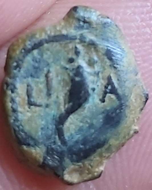 Help-Identify-Ancient-Coin-Alexandria-Ae-Almost-Certain-Roman-Emperor-Hadrian-Ad-118-138