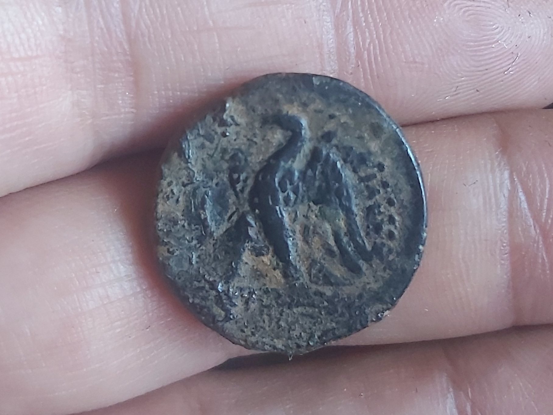 Ptolemy-Coin-For-Identification