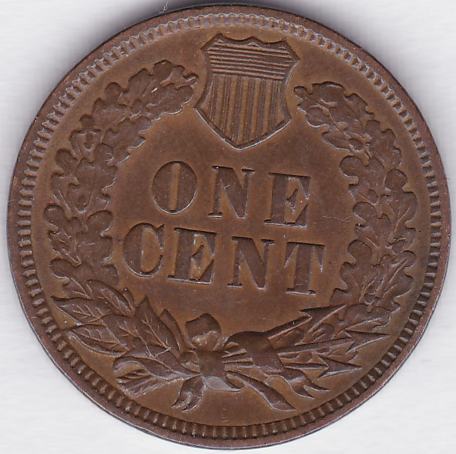 Indian-Head-Cent-For-Grading
