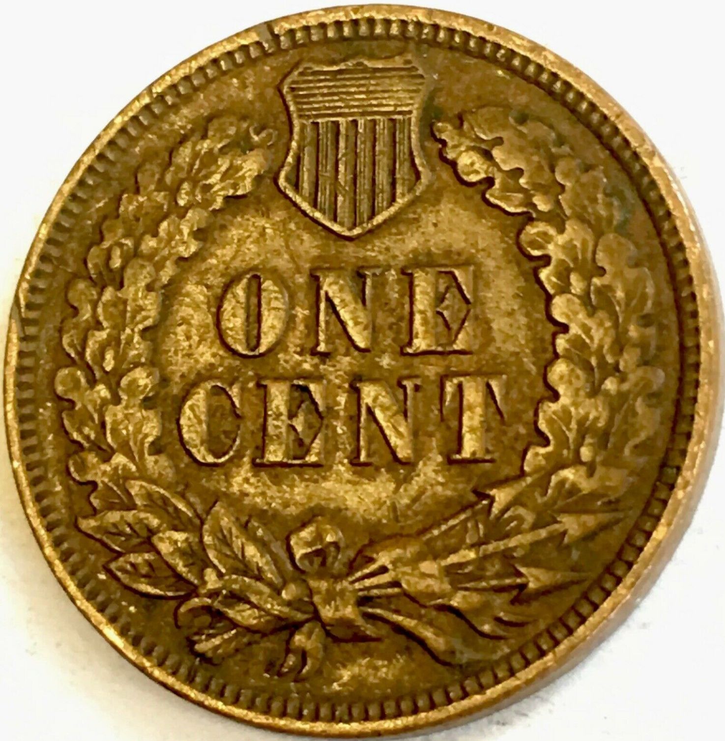1904-IHC--For-Grading