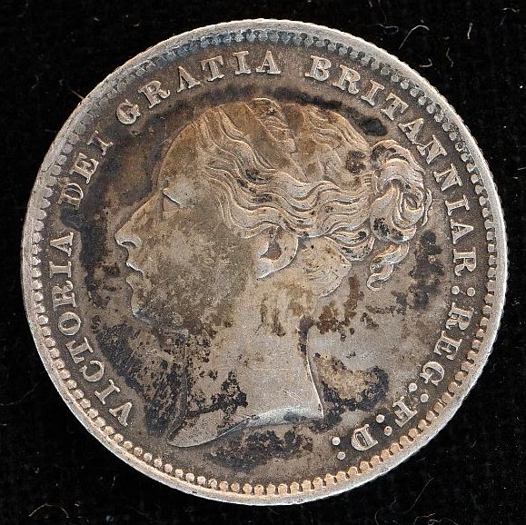 Continuing-List-To-Show-Everyones-Latest-Acquisitions