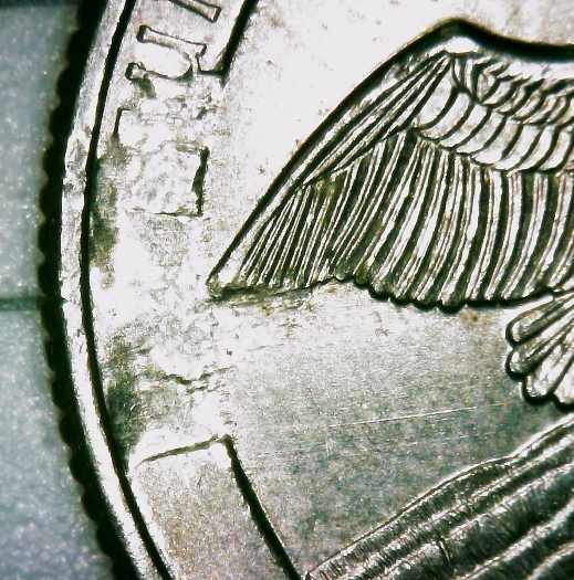 2018-Cumberland-Island-Quarter-Reverse-Error?--Grease?