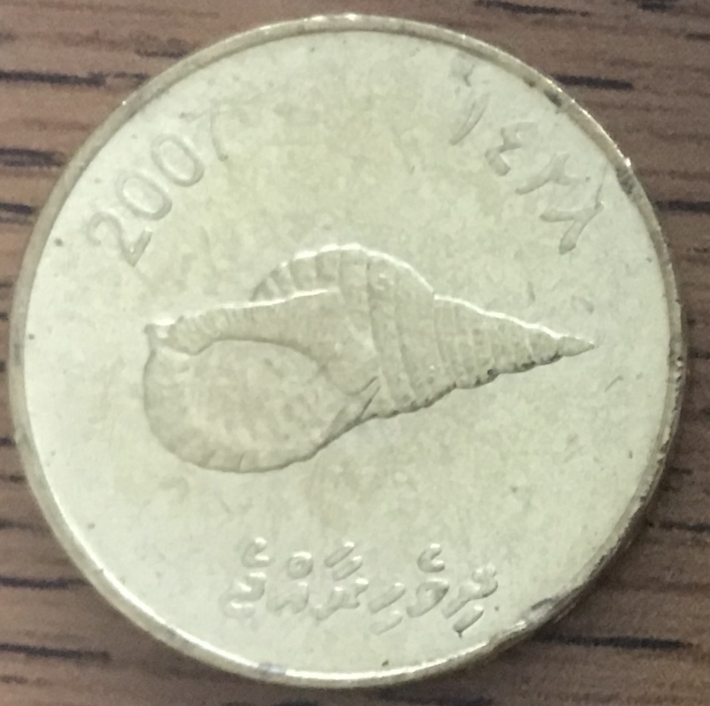 Show-Your-Coins-With-Different-Edges