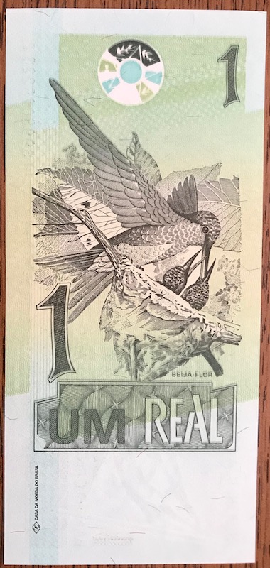 Post-Your-Avian-Notes!