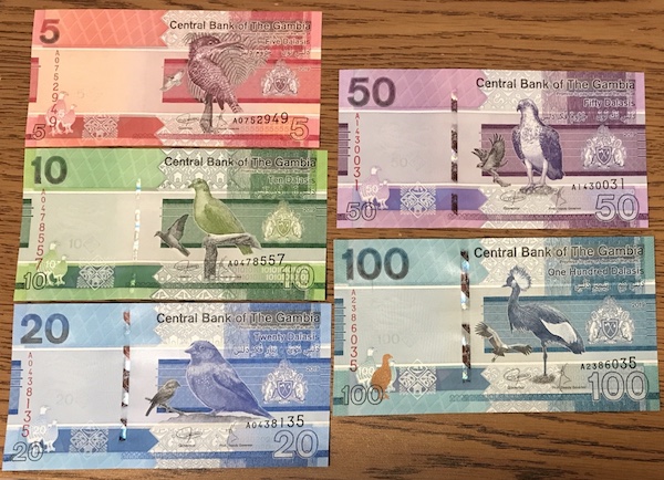 Post-Your-Avian-Notes!