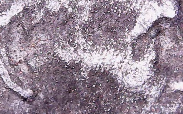 1986-D-LMC-No-Clad-Or-Environmental-Damage?