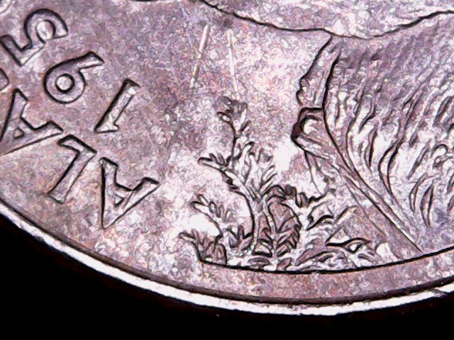 2008-D-Gw-Qtr-Speared-Bear-Die-Crack