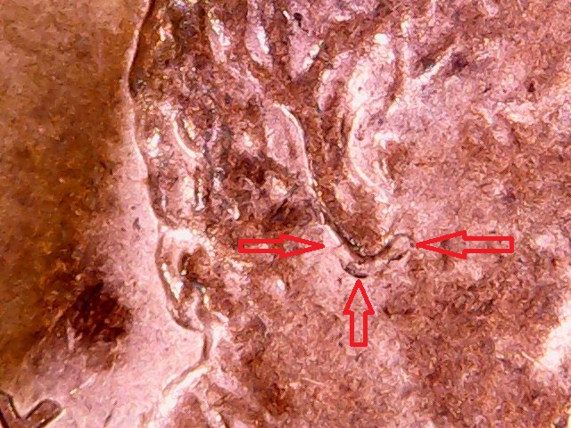 1988-D-LMC--Doubled-Earlobe