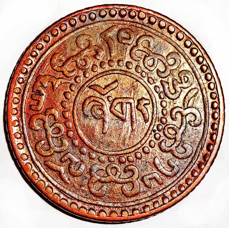Post-Your-Coins-Representing-The-Animal-Kingdom.