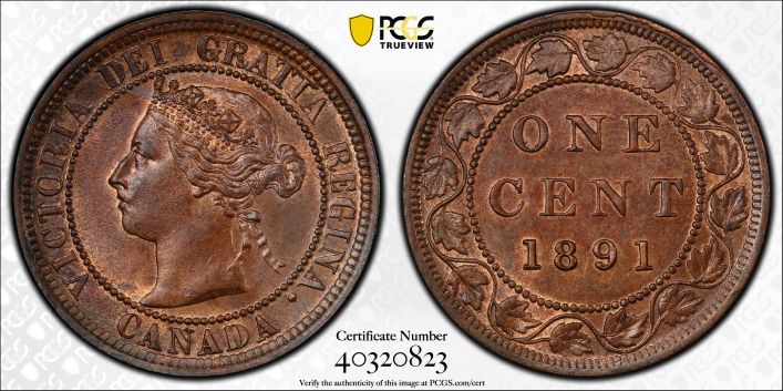 1891-Large-Cent-LL-LD-OBV-2