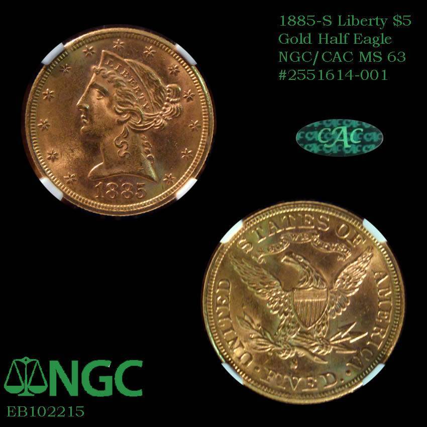 100-Days-Of-19th-Century-US-Coins-Plus-+-64-More-Days-Of-20th-Century!!-II