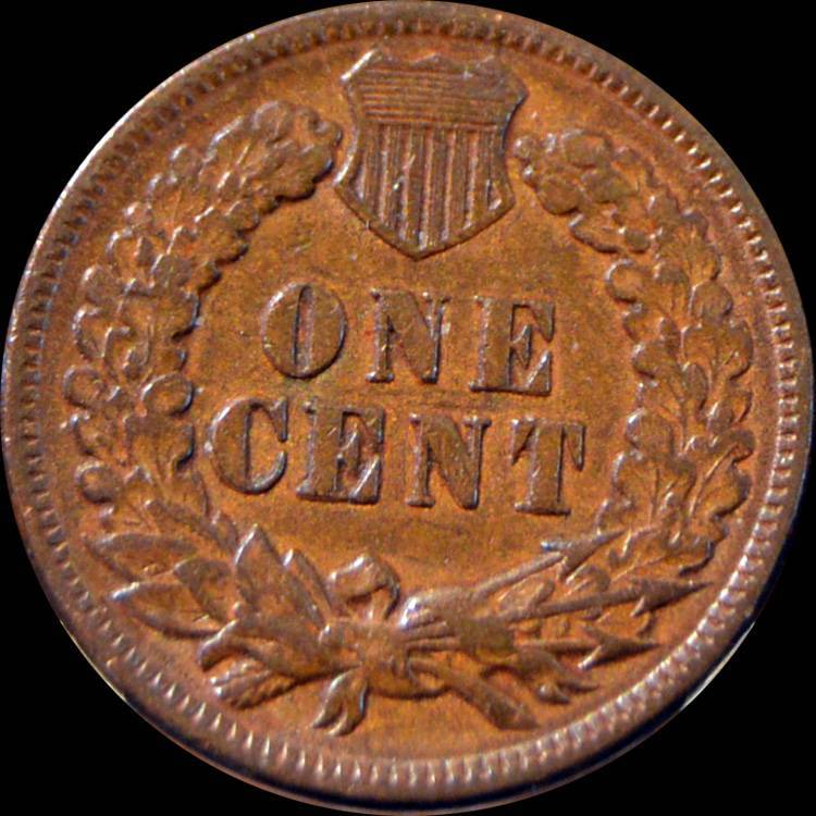 51-Days-Of-Flying-Eagle-And-Indian-Head-Cents!---Part-4!!