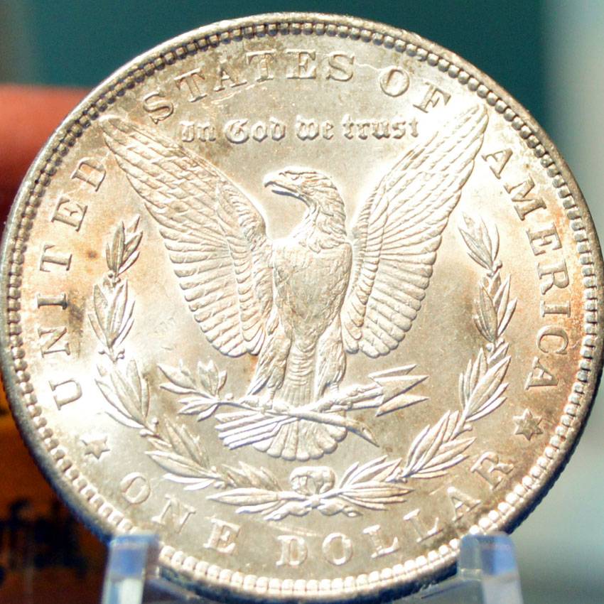1897-Morgan-Dollar-For-Grading,-Old-Album-Tone