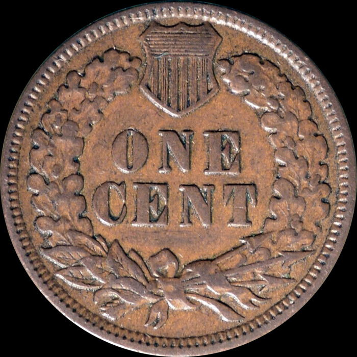 1891-Indian-Head-Cent-For-Grading