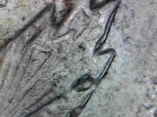 1965-Liberty-Half-Dollar-?is-This-All-MD-?-Thank-You-For-The-Hep