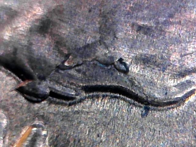 2010--Lincoln--Looks-Like-Die-Breake-To-Me-?-Please-Comment