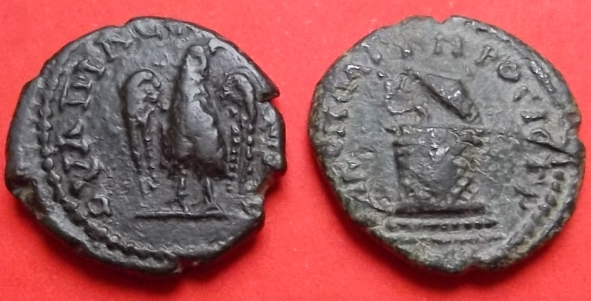 Assarions-Of--Septimius-Severus.