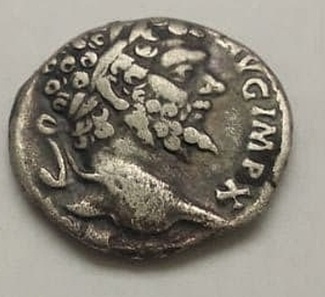 Sept.-Severus-Libero-Patri-Denarius