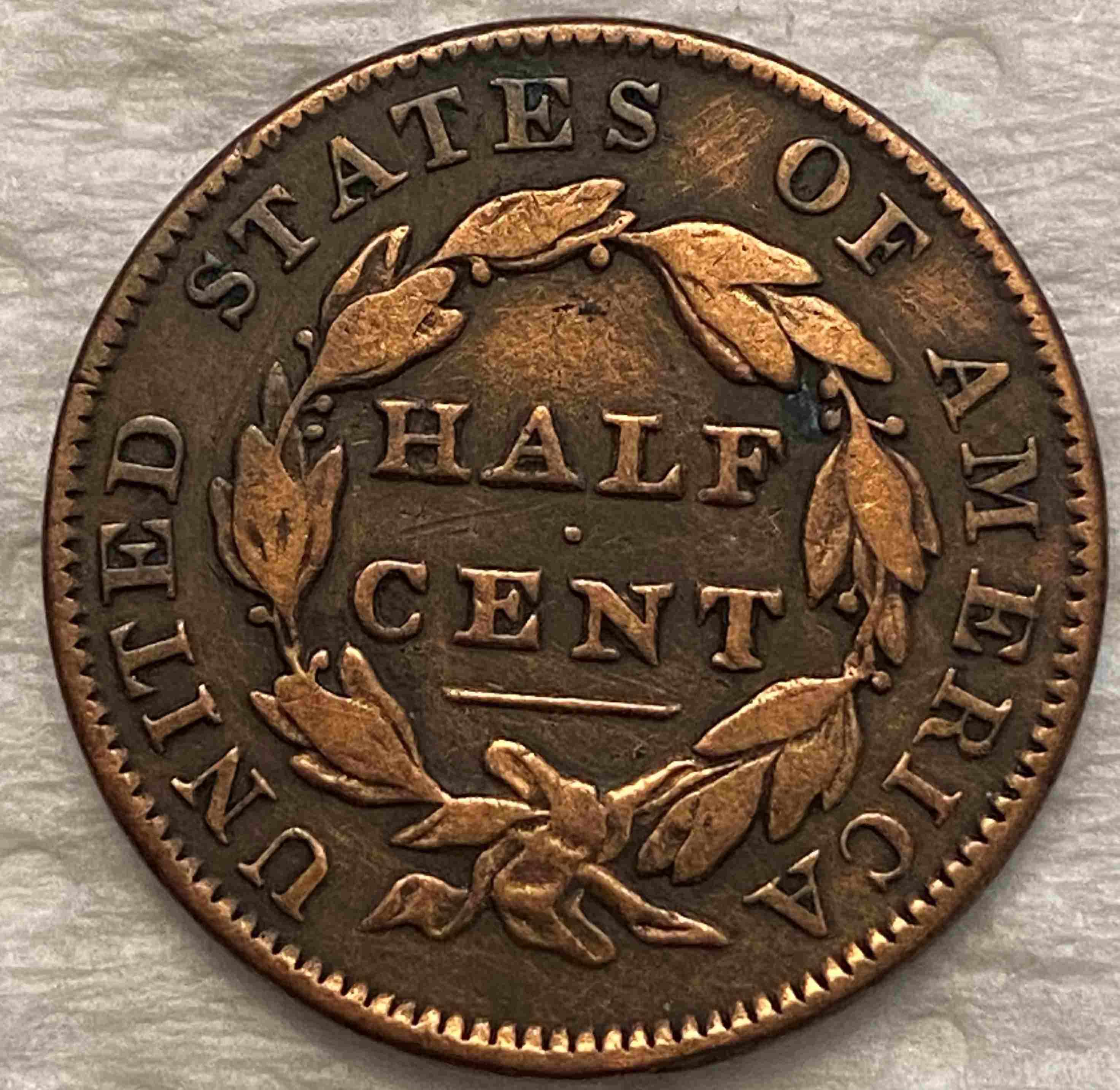 Another-1835-Classic-1/2-Cent-C2