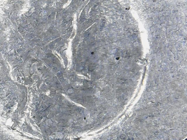 1972-Ike-Type-2-Reverse