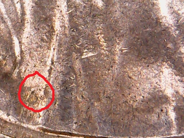 2022-Shield-Cent-Possible-Error?