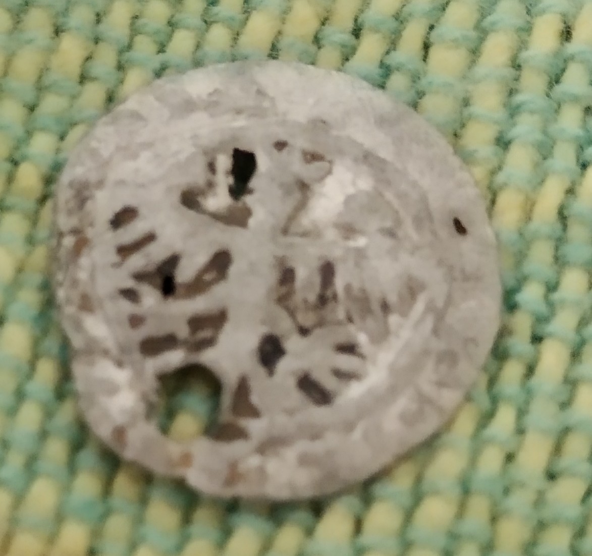 Is-Numista-Wrong-If-You-Want-To-See-Is-Coin-You-Own-Rare?