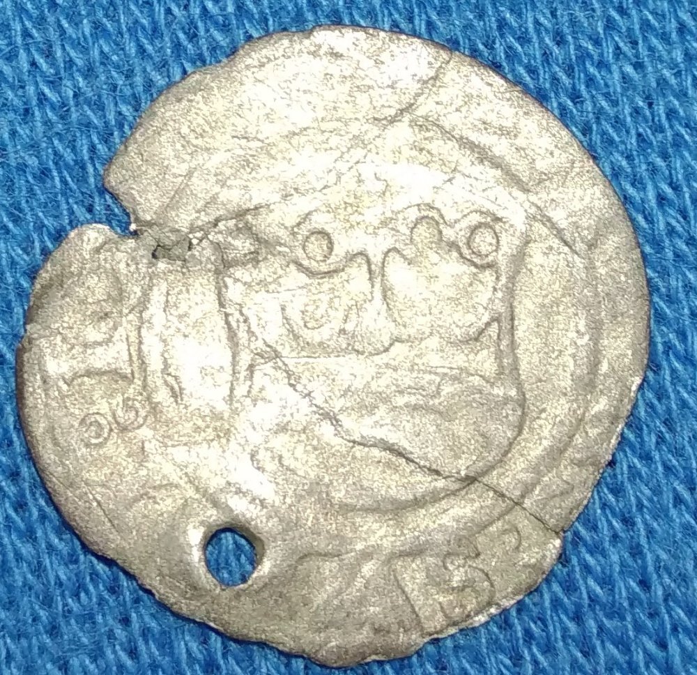 Is-Numista-Wrong-If-You-Want-To-See-Is-Coin-You-Own-Rare?
