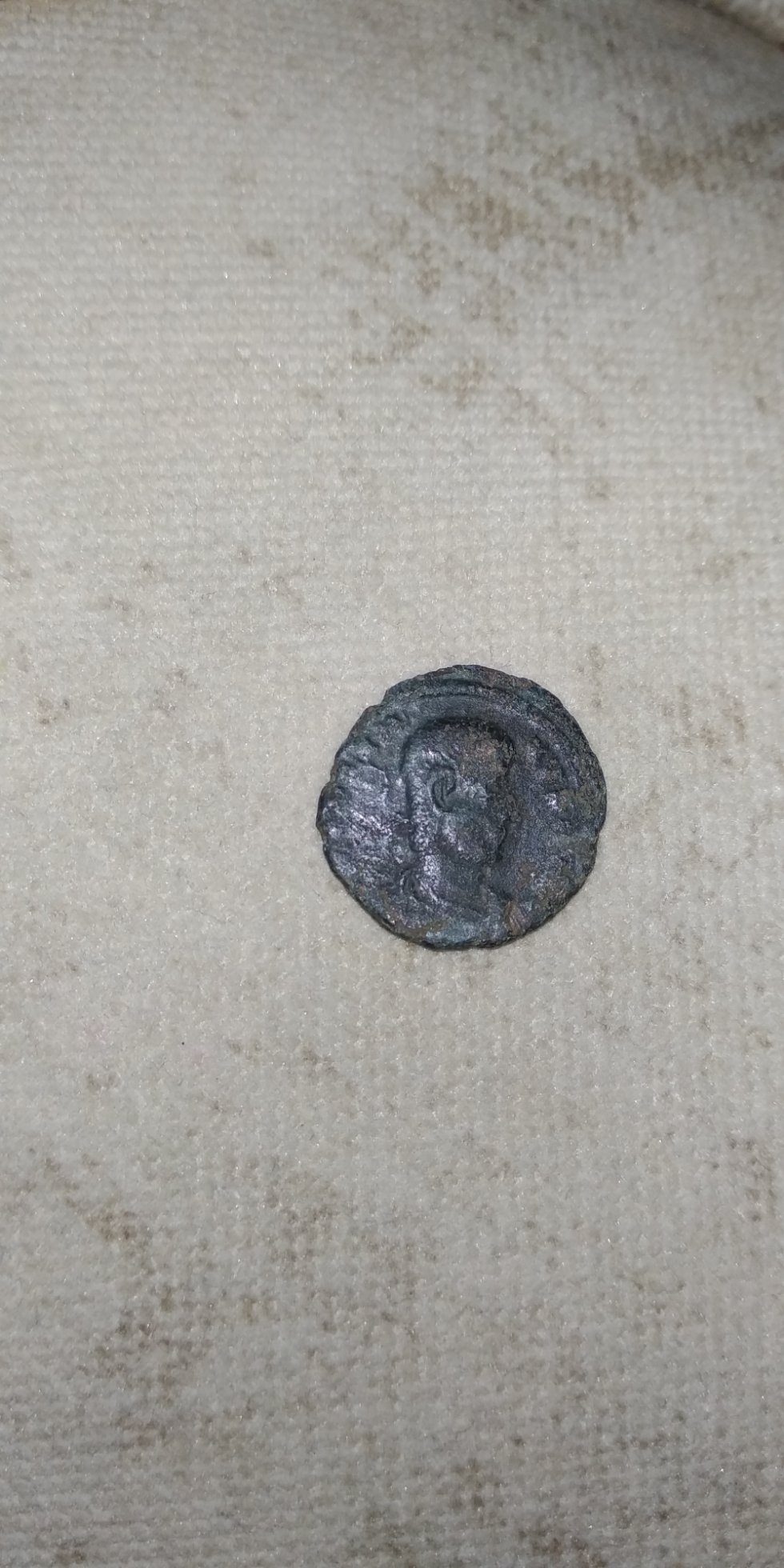 Is-Numista-Wrong-If-You-Want-To-See-Is-Coin-You-Own-Rare?
