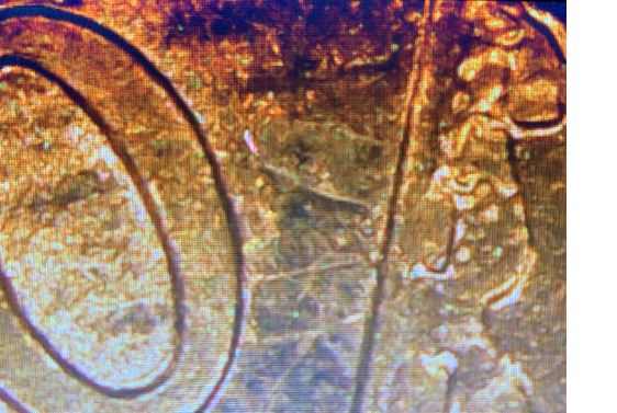 This-Is-Another-1998-Philly-Minted-Penny-That-I-Belive-Is-Double-Struck.