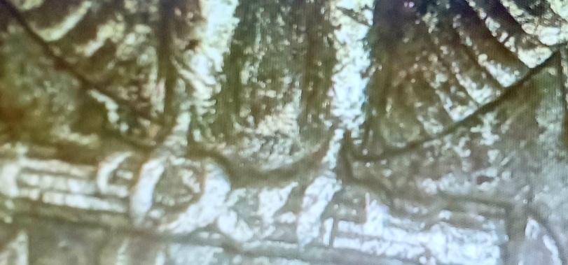 Pictures-From-I-Know-There's-Something-1989-D-Quarter
