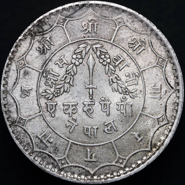 166-Days-Of-Yakko's-World-Coins