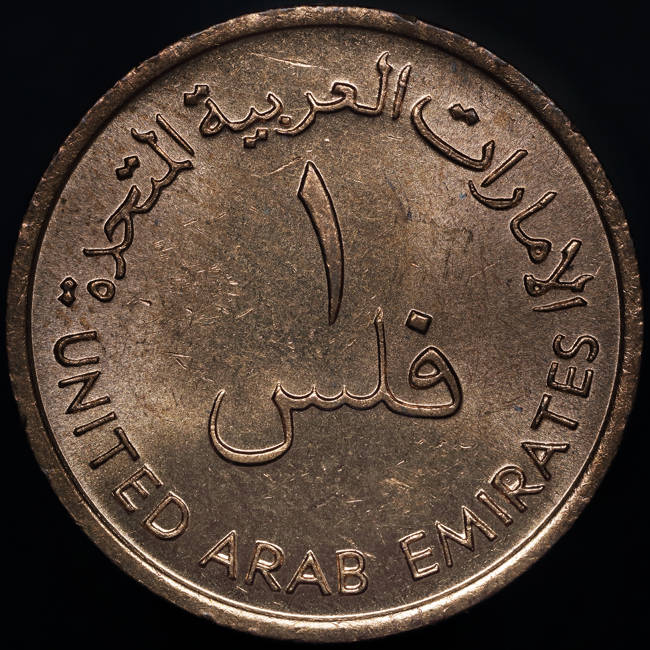 166-Days-Of-Yakko's-World-Coins