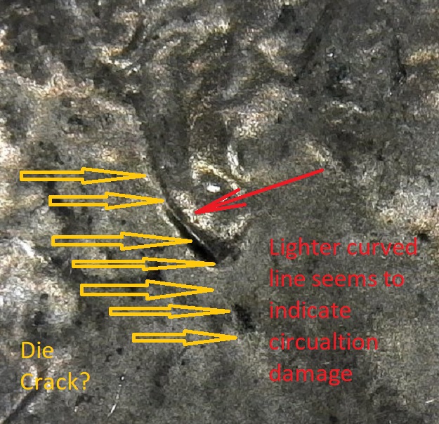 2017-LSC-Pointy-Ear?