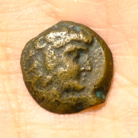 2-Alexander-The-Great-Lifetime-Issues---Real-Or-Fake?