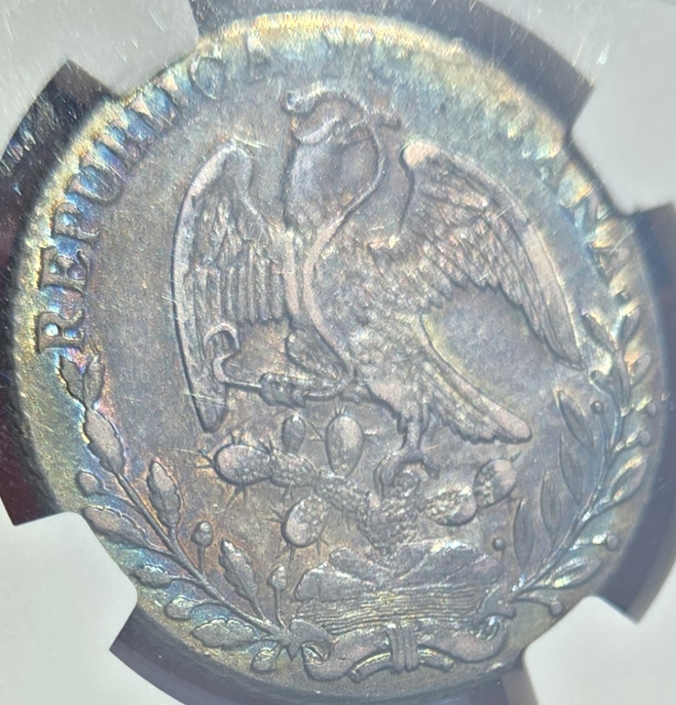 1829-Do-Rl-Mexico-8R-NGC-XF40-Color!