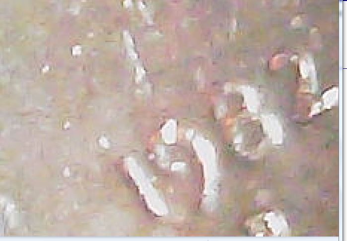 1982-Small-Date?--Overdate?test-Die?