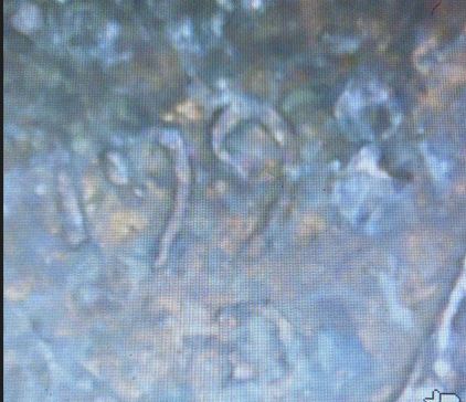 Coins-I-Like-Regardless-Of-Value