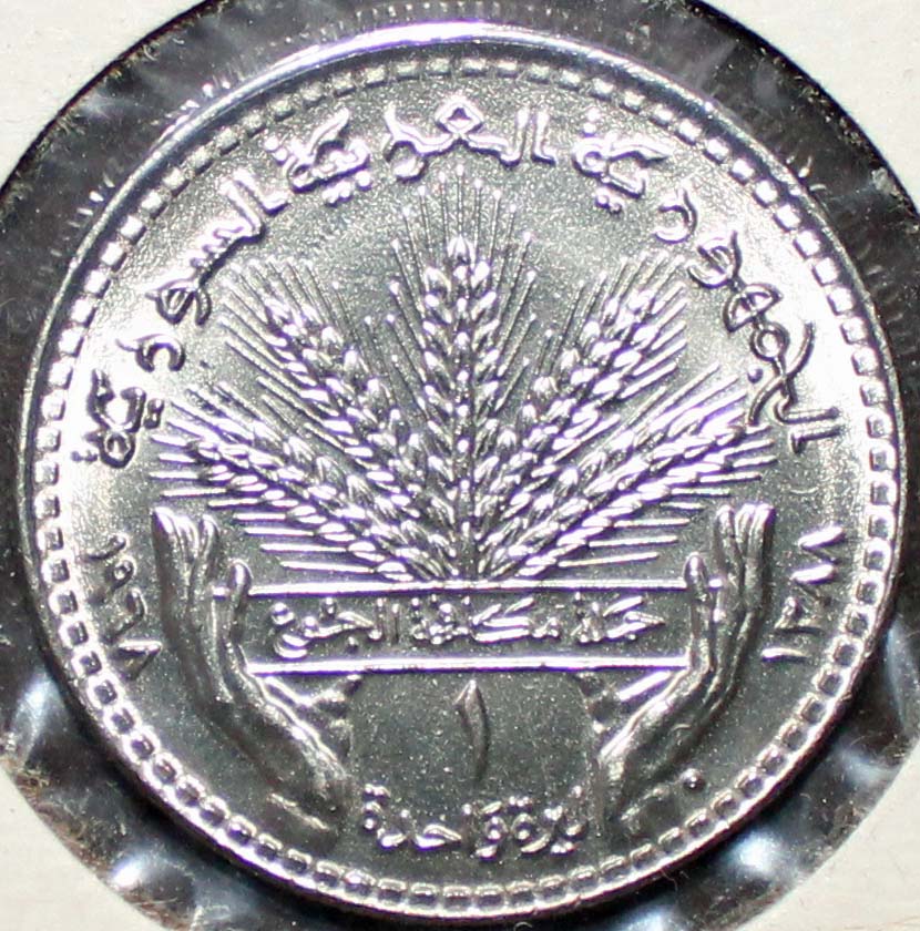 Post-Your-Bird-Coins
