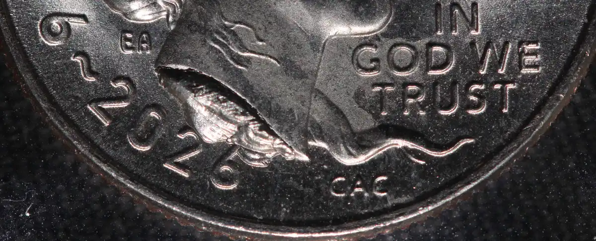 2026-P-Emerging-Liberty-Dime-With-Massive-Die-Chip-Under-Neck-Ebay-Purchase
