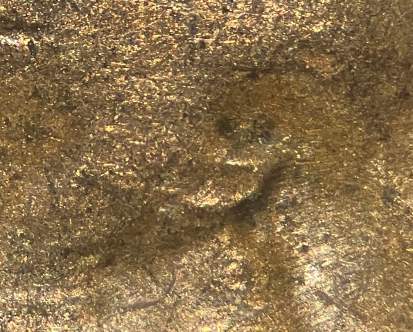 1942-Lincoln-Cent-DDO-FS-101?