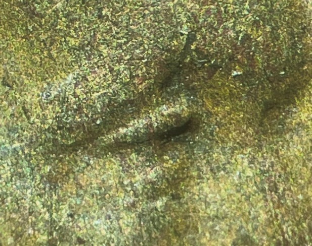 1942-Lincoln-Cent-DDO-FS-101?